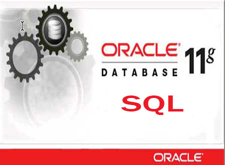 COE Việt Nam tổ chức thành công khóa đào tạo “Oracle Database 11g: Introduction to SQL” cho đội ngũ nhân viên của Trung tâm Điều độ Hệ thống điện Quốc Gia – Tập đoàn Điện lực Việt Nam
