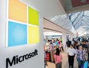 Microsoft chưa thể tìm được CEO mới trong năm 2013